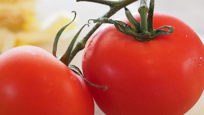 残留農薬　トマト